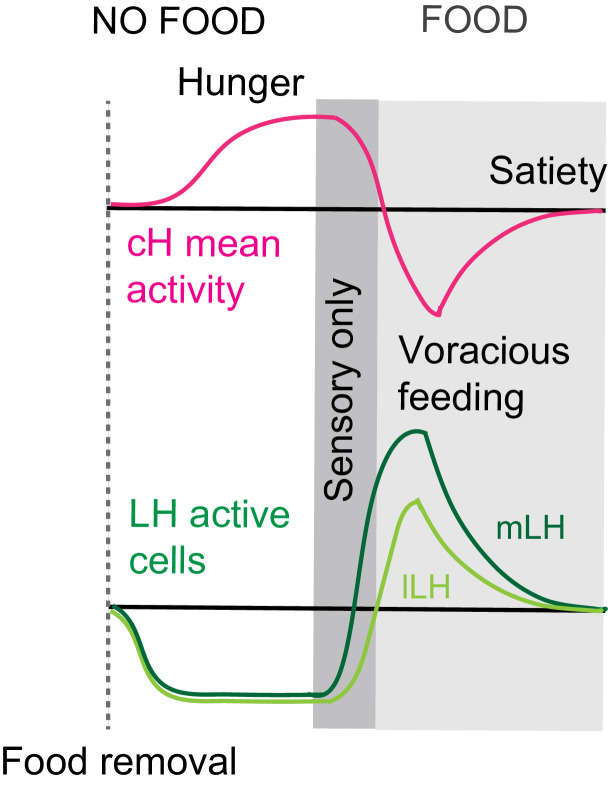 Appendix 1—figure 1.