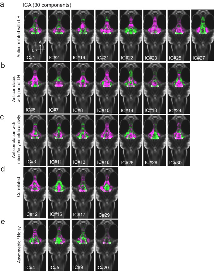 Figure 1—figure supplement 3.