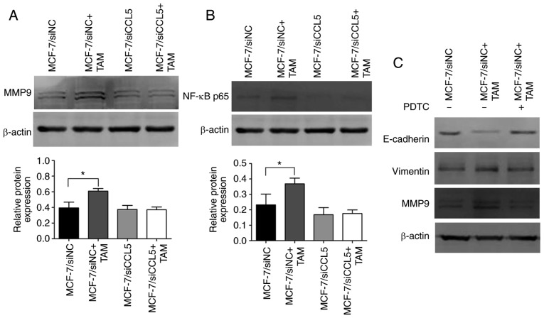 Figure 7.