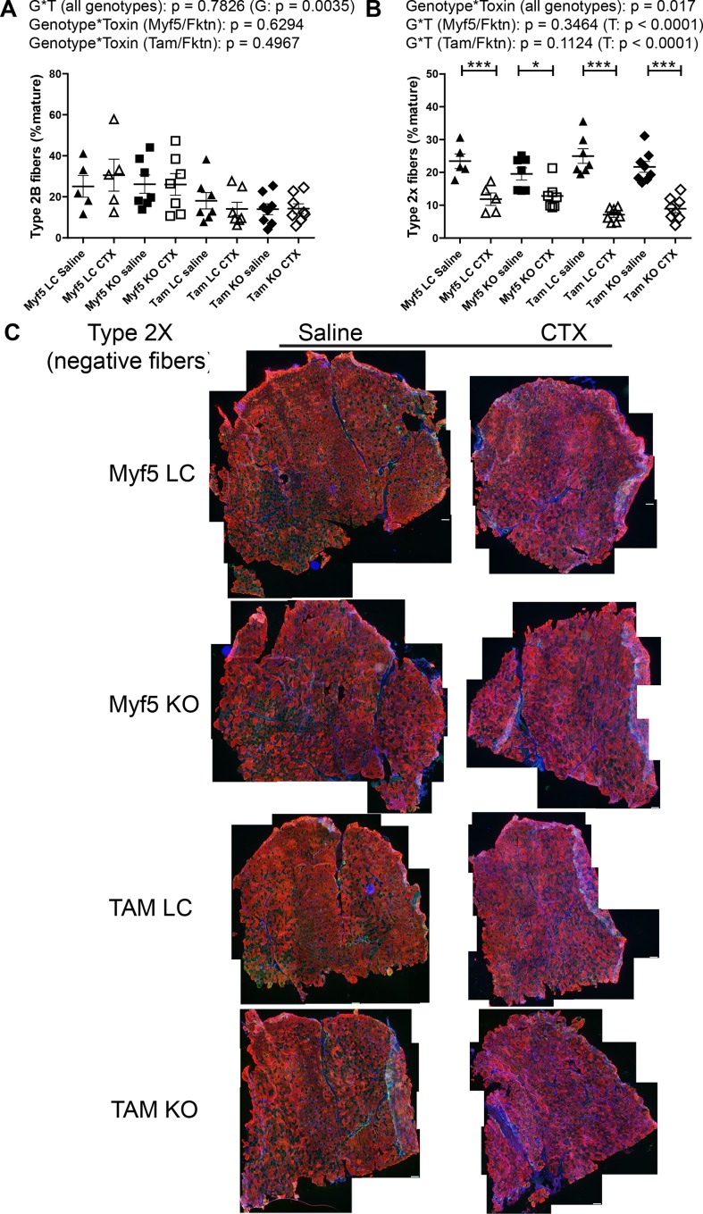 Fig 8