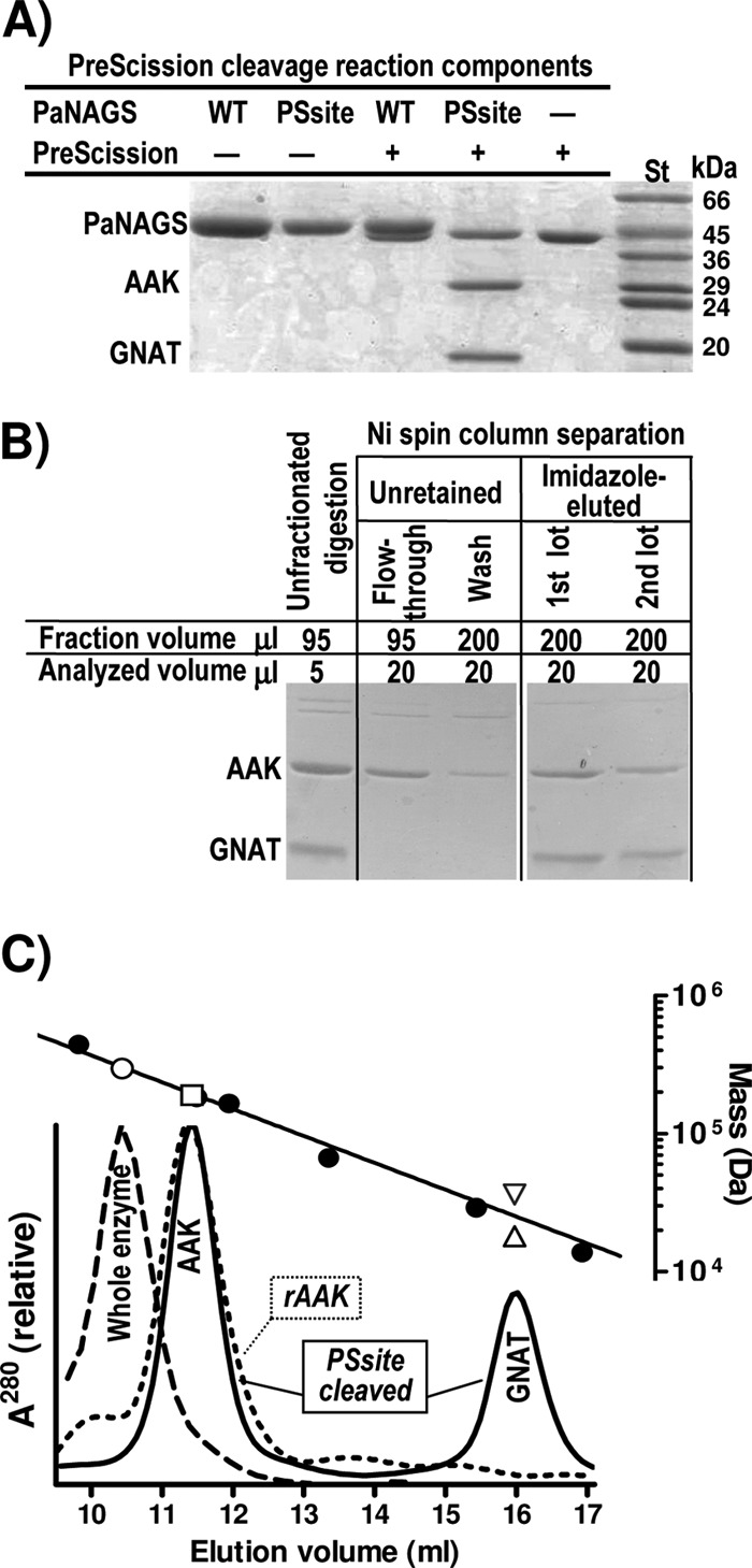 Fig 4