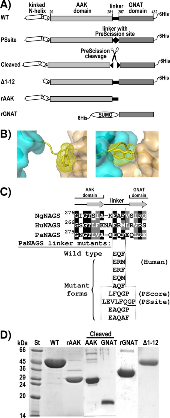 Fig 2