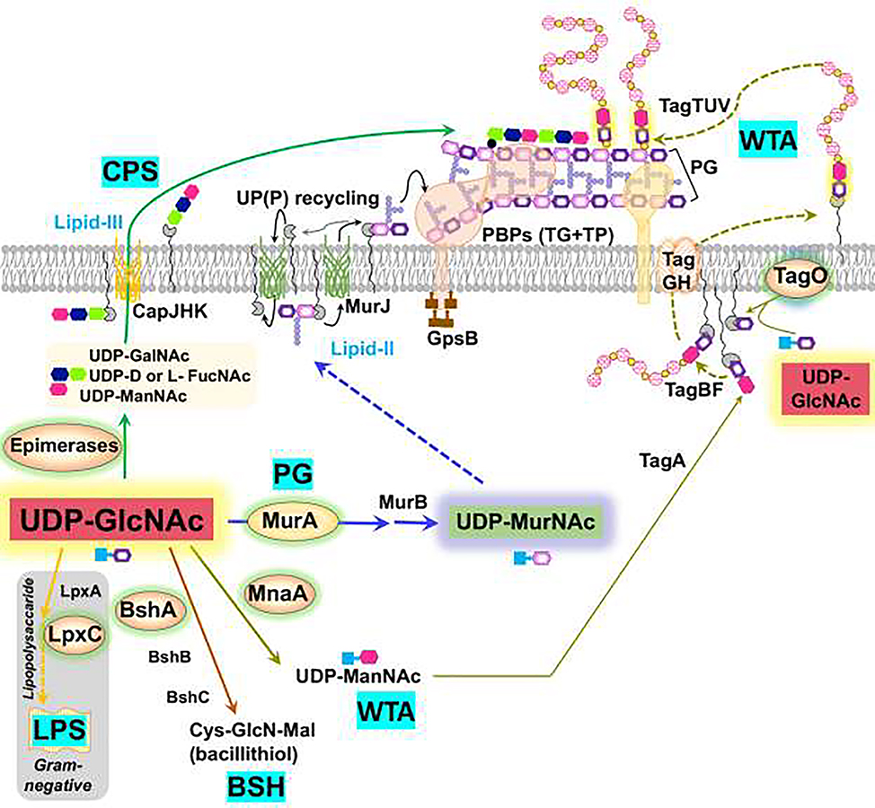 Figure 2.