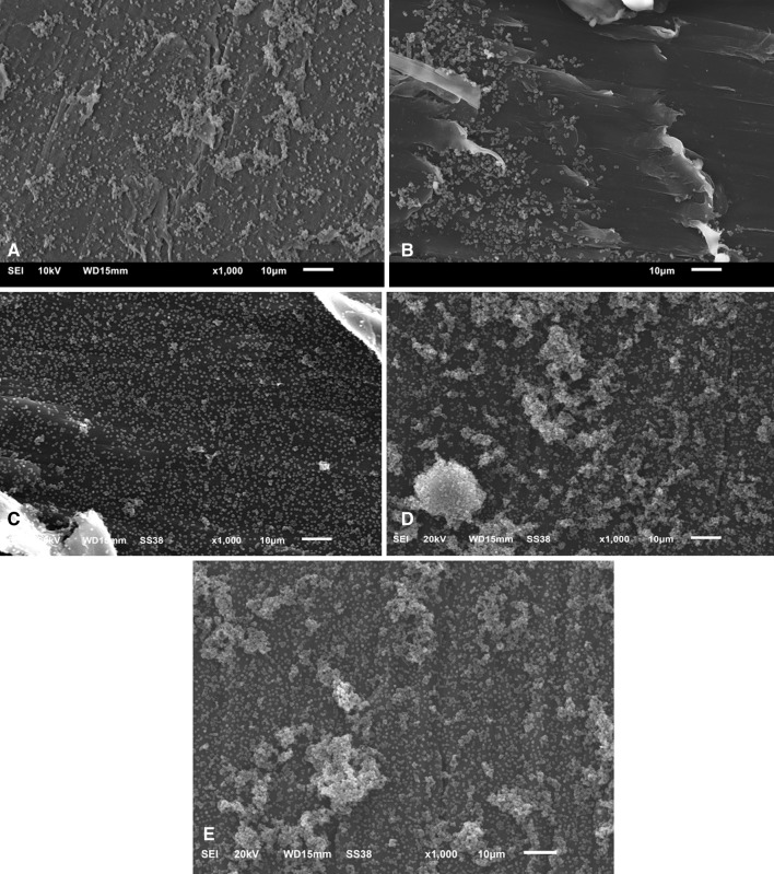 Fig. 3A–E