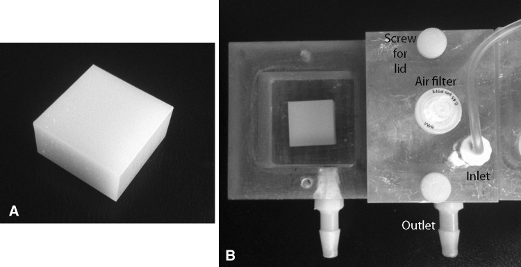 Fig. 1A–B