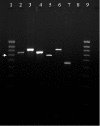 FIG. 4.
