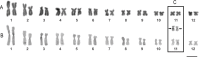 Fig 9