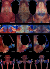Fig 6