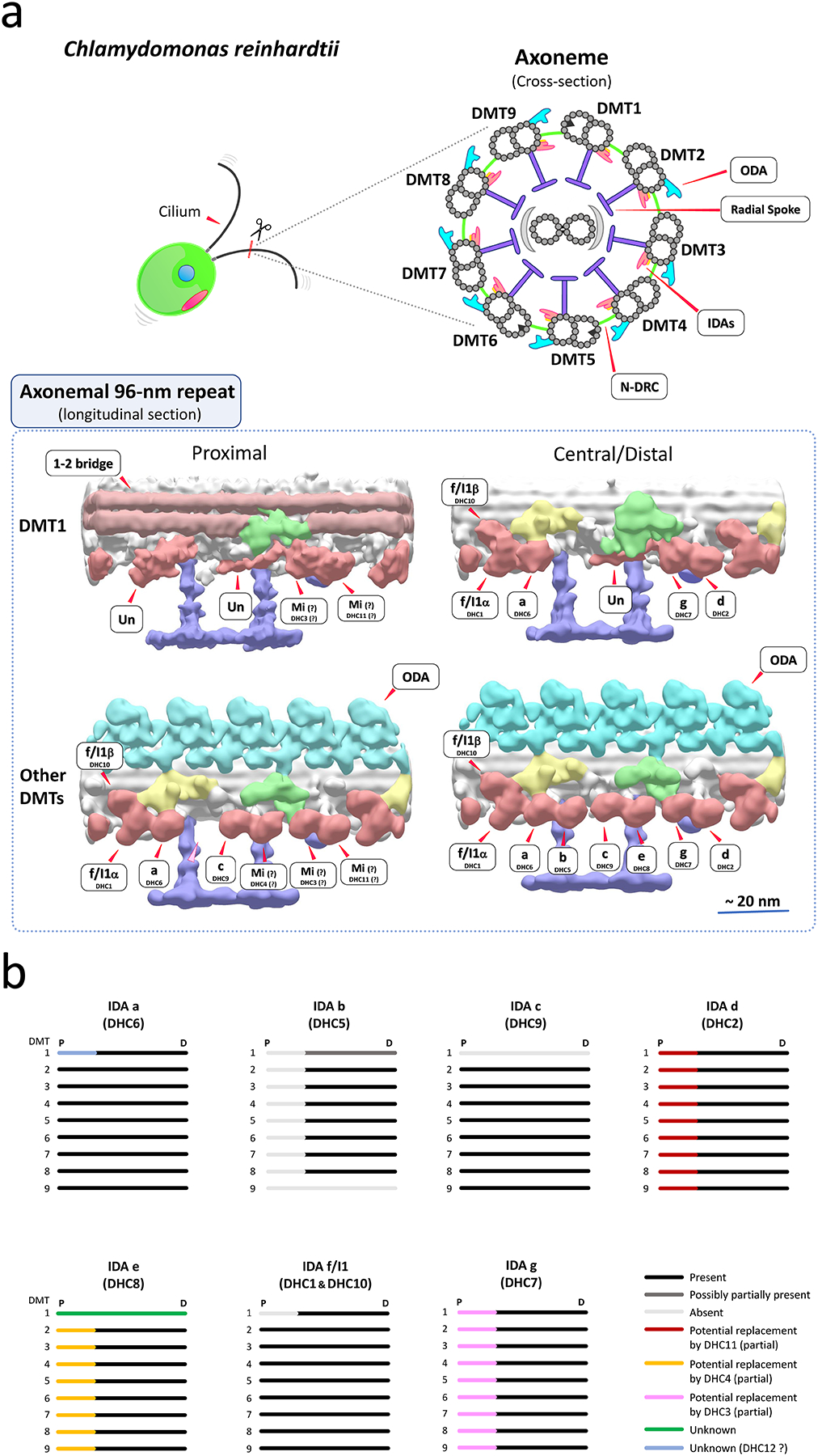 Figure 1.