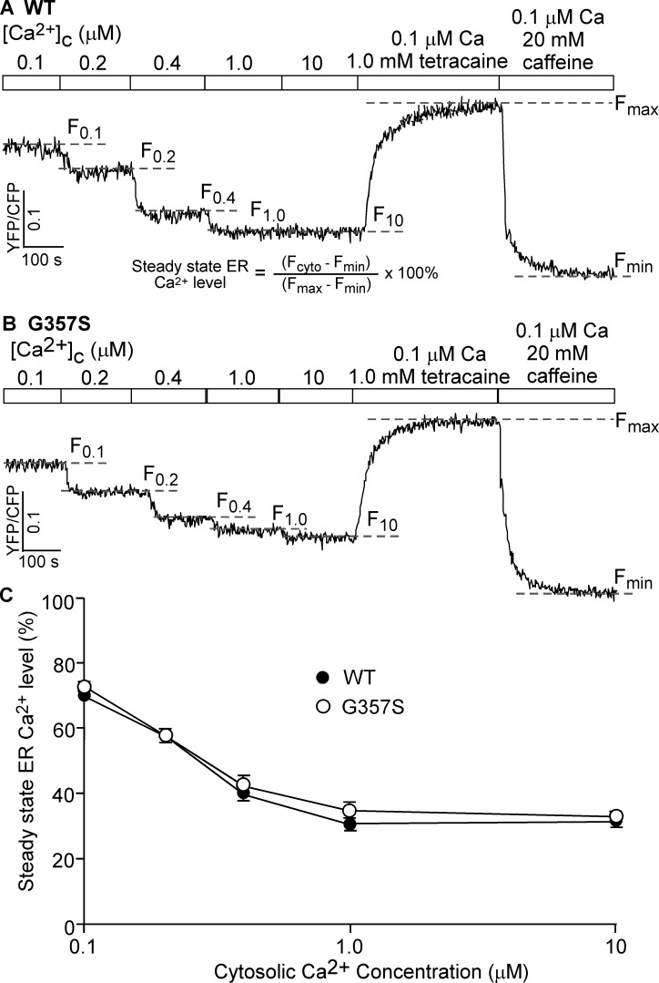 Fig 5