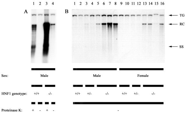 FIG. 5