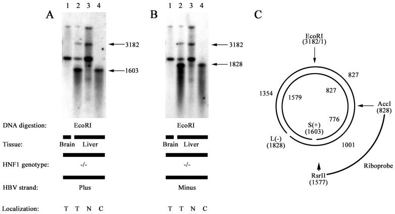 FIG. 7