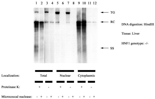 FIG. 8