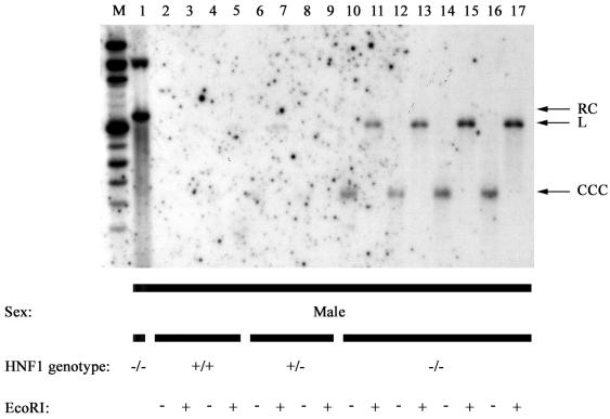 FIG. 9