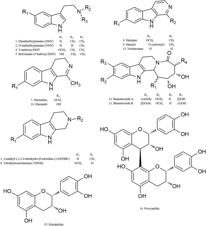 Fig. 3