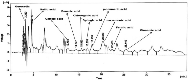 Fig 5