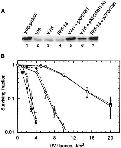 FIG. 6