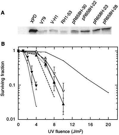 FIG. 8