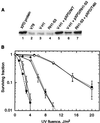 FIG. 6