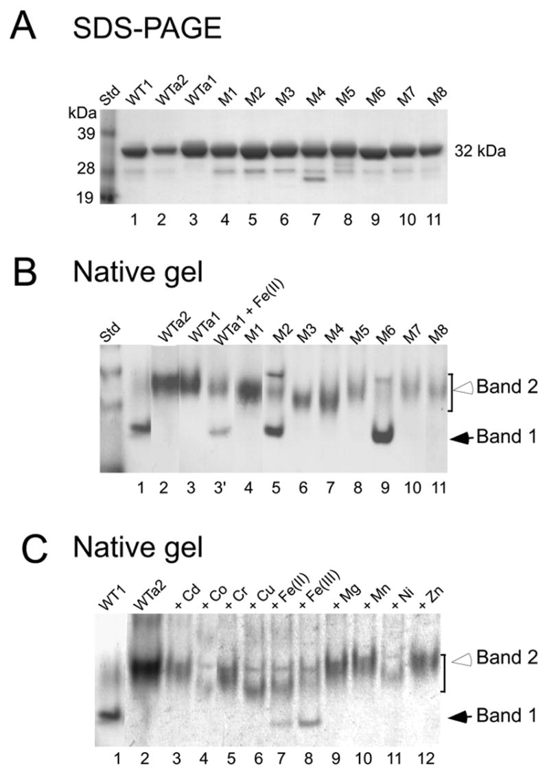 Fig.4