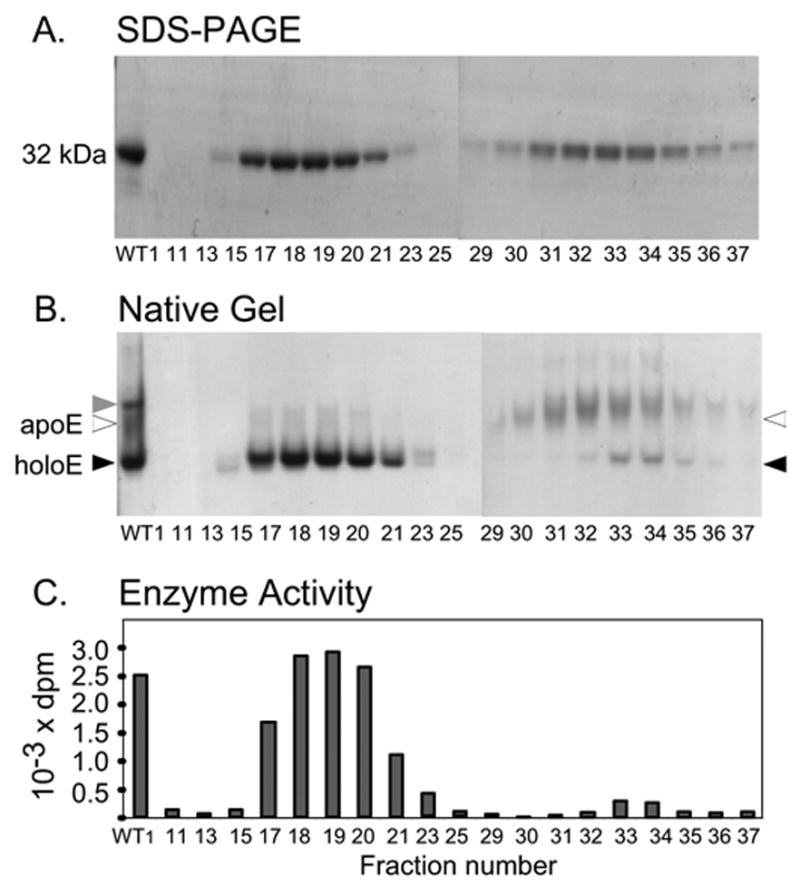 Fig.6