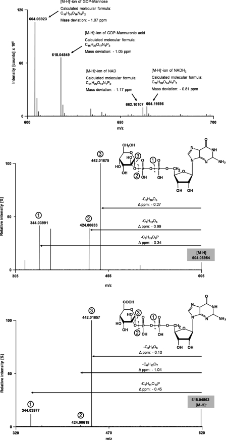 FIGURE 4.