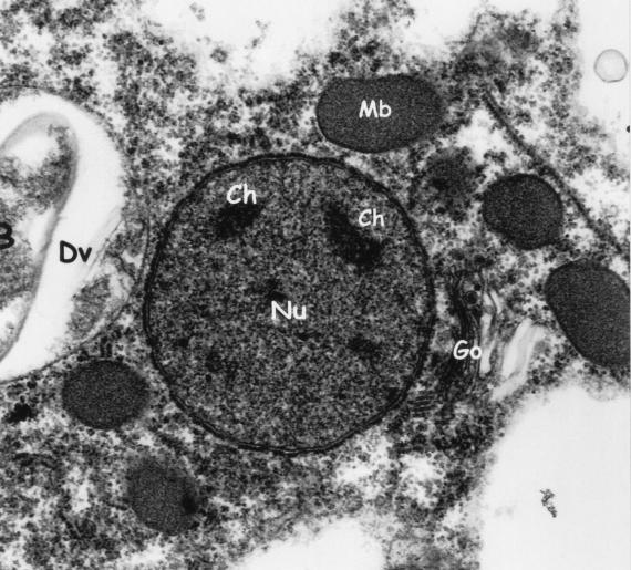 FIG. 5.