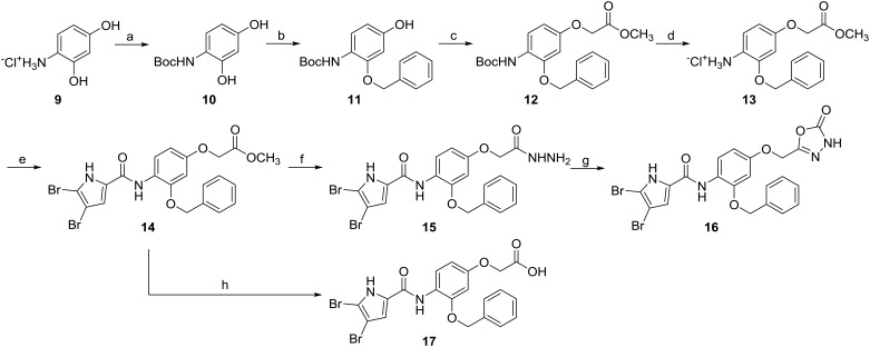 Scheme 2