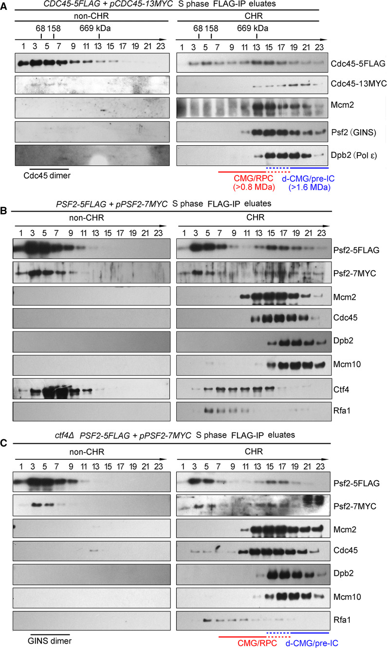 Fig. 4