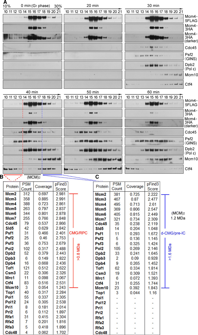 Fig. 2