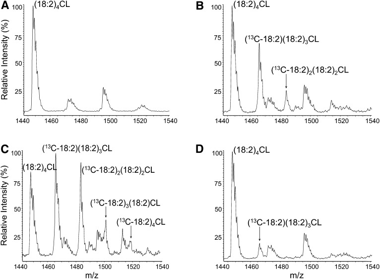 Fig. 3.