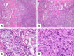 Fig. 4