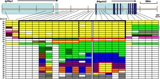 Fig. 2