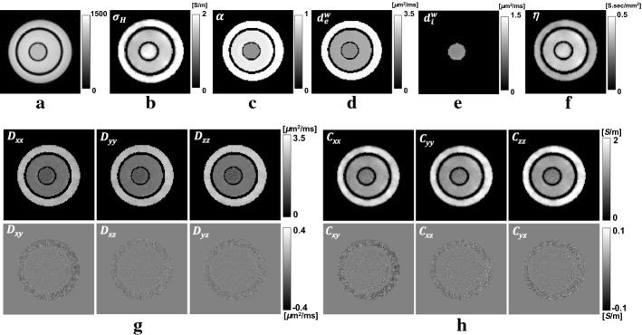 Fig. 5