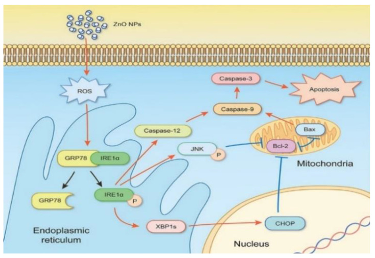 Figure 42