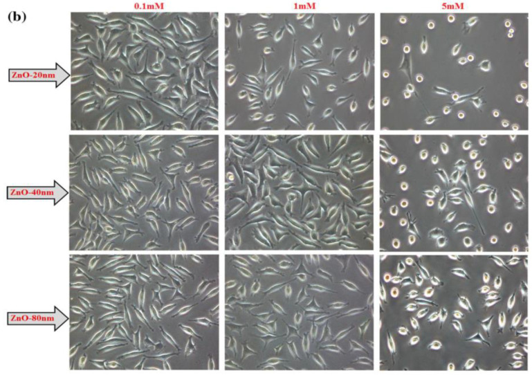 Figure 18