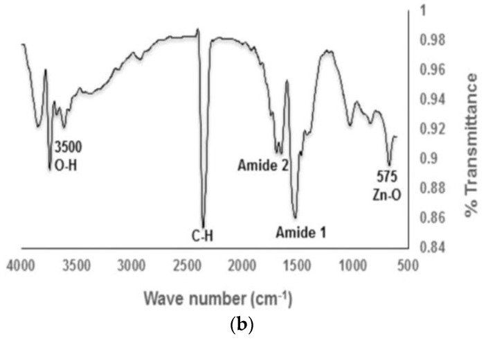 Figure 13