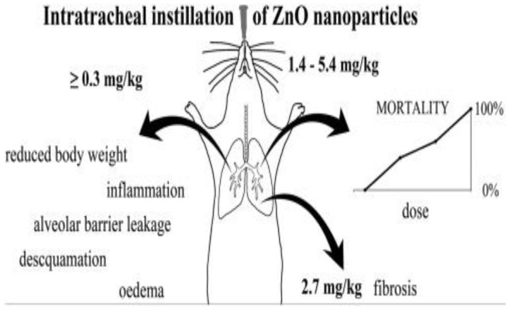 Figure 37