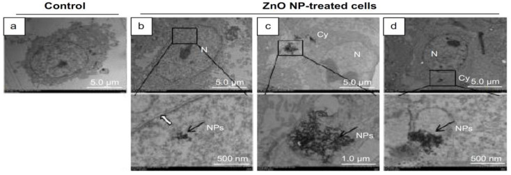 Figure 22