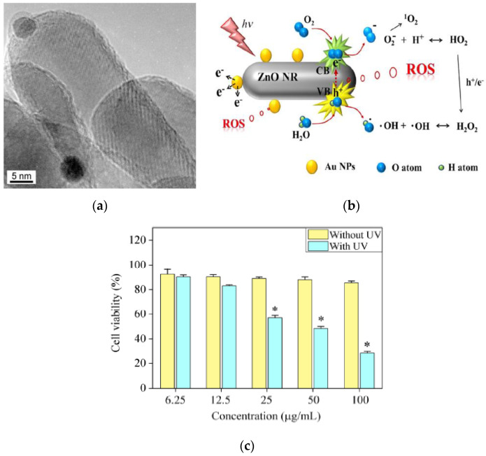 Figure 31