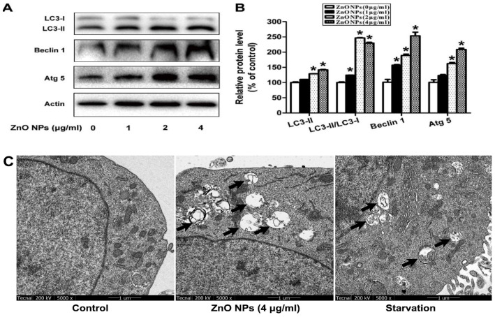 Figure 20