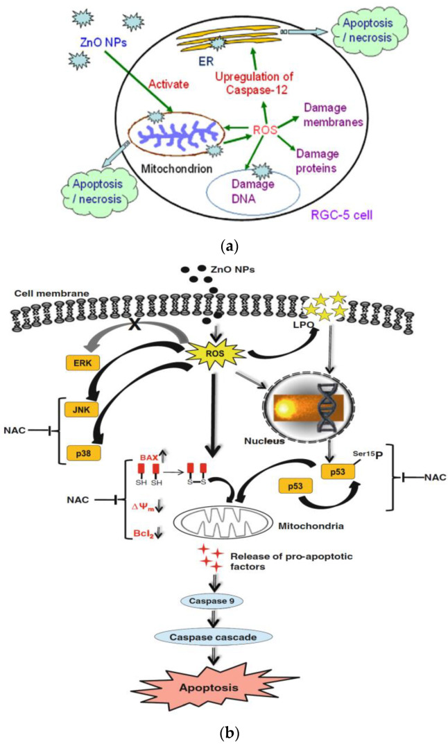 Figure 16