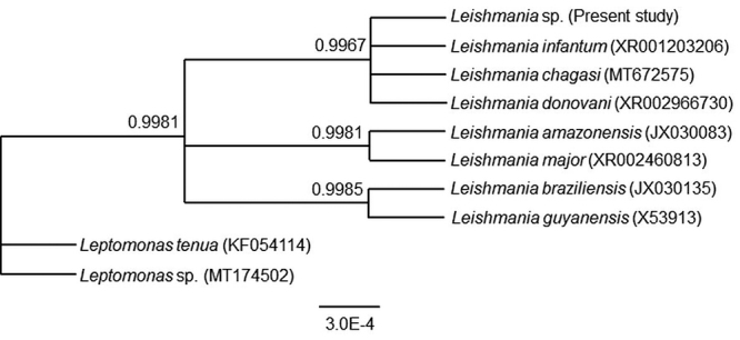 Figure 4.