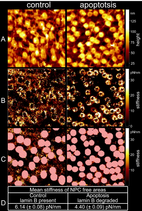 Fig. 4.