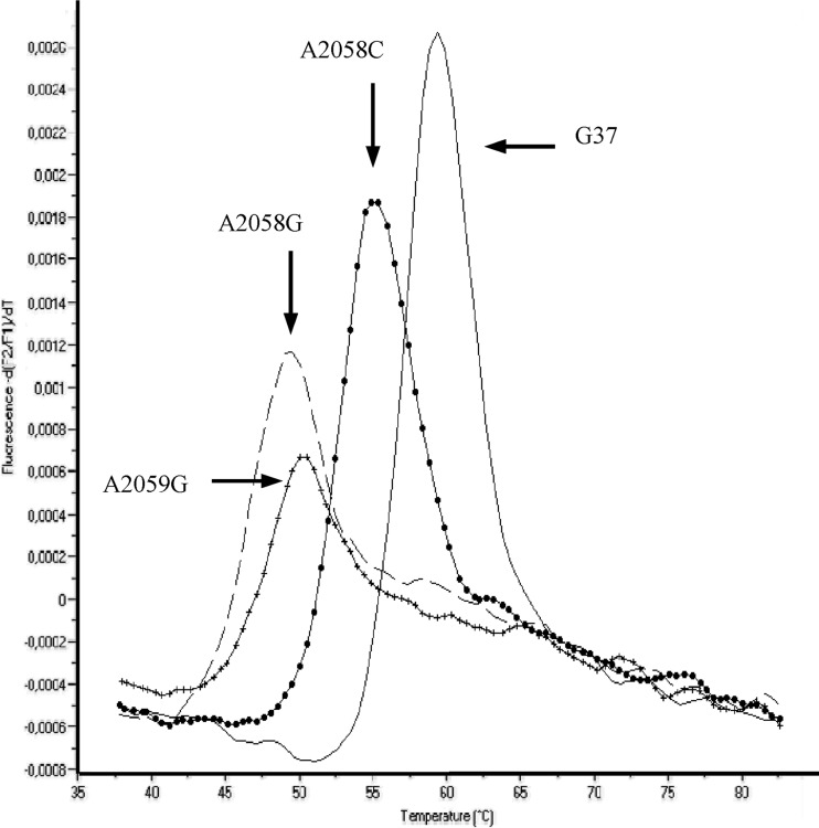 FIG 2