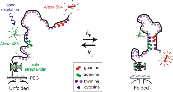 FIG. 2.