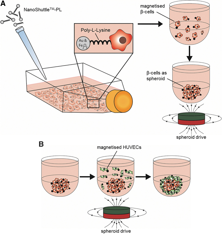 FIG. 1.