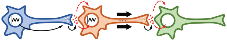 Figure 3.