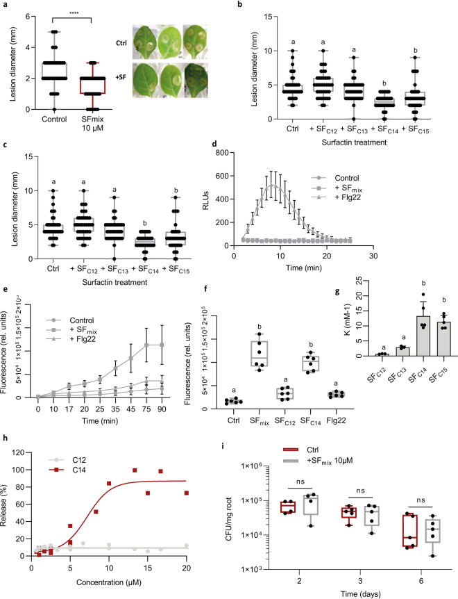 FIG 6