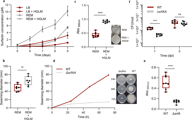 FIG 3